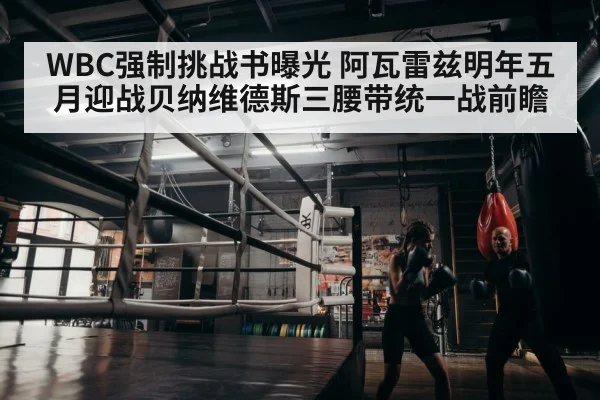 boxer training